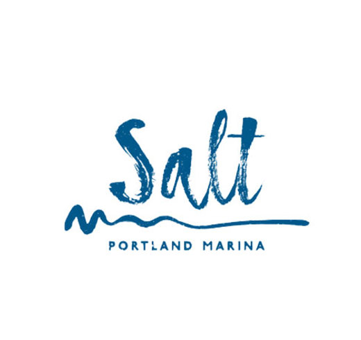 SALT Logo