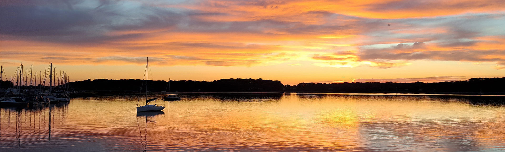Sunset 50