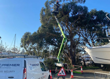 Chichester Trees MCB