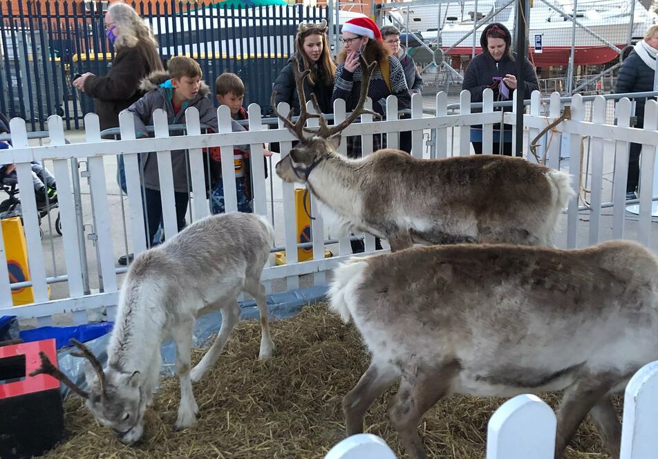 Reindeers NW Mixed Content Block