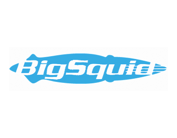 Big Squid