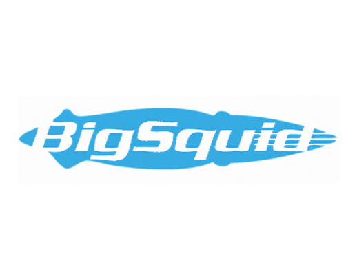 Big Squid