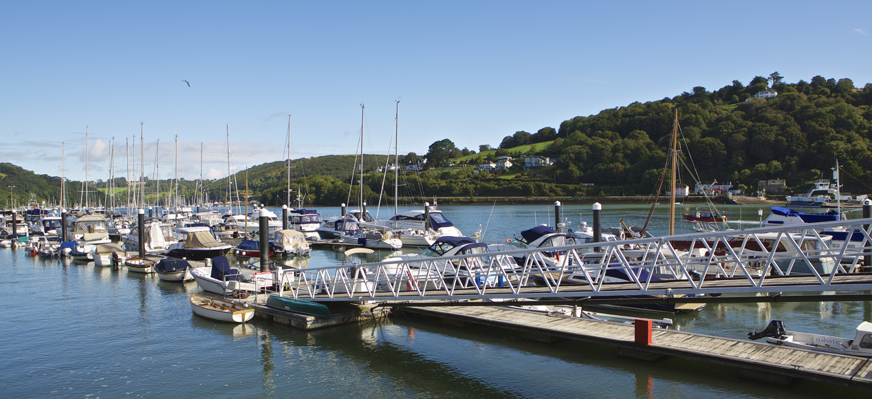 Dart Marina