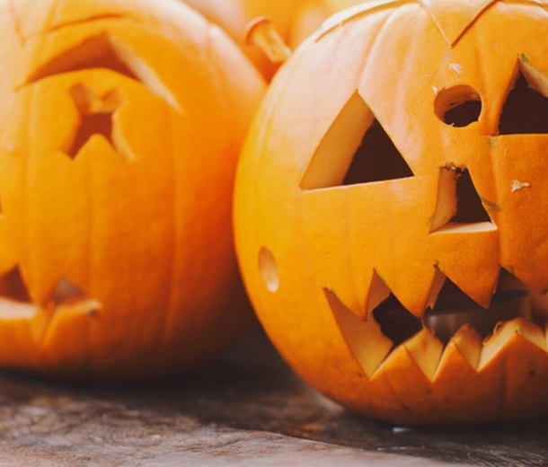 CH Boathouse Pumpkin Mixed