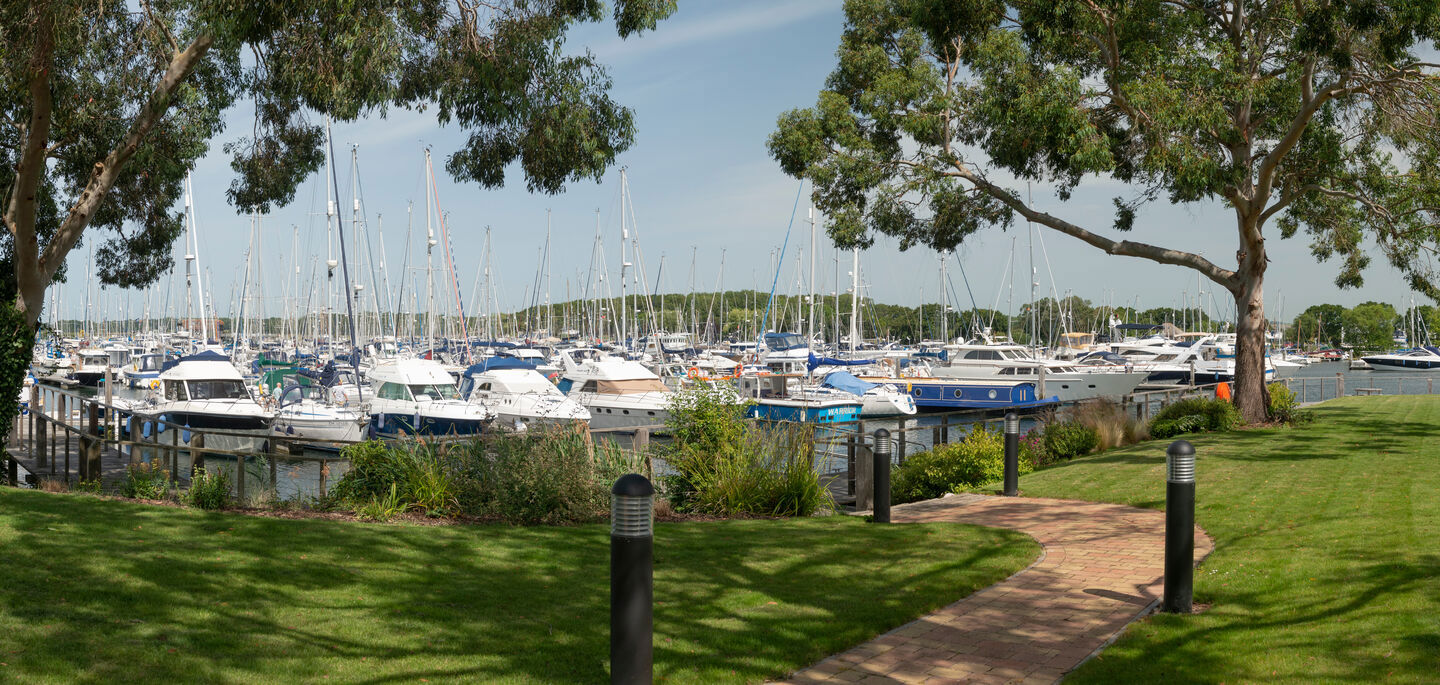 Dog 401 NW Banner Without Weather 1920X685