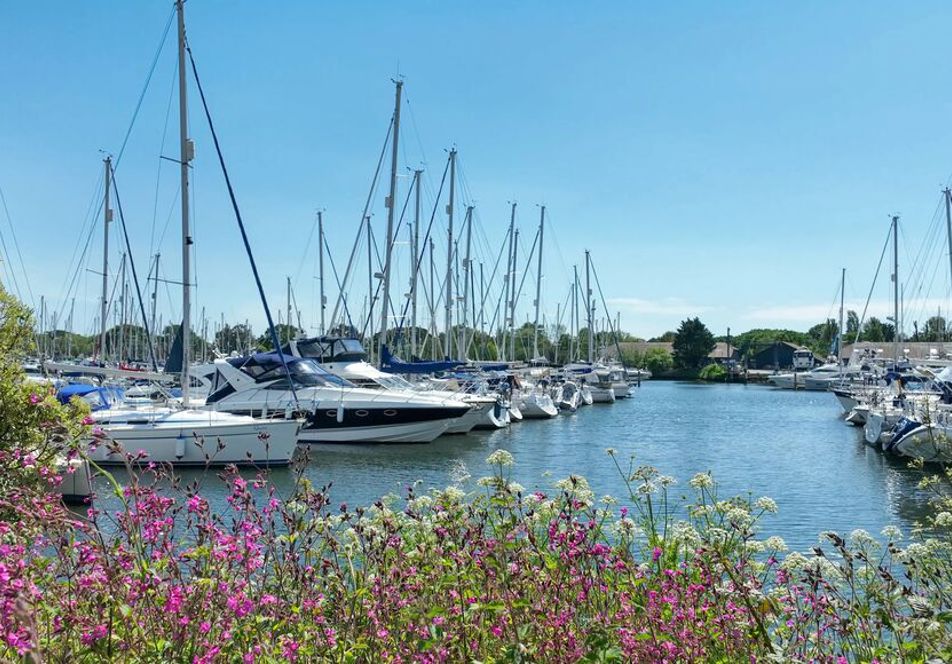 PAGE 14 NEW Chichester Nature NW Header Banner With Weather 1268X580
