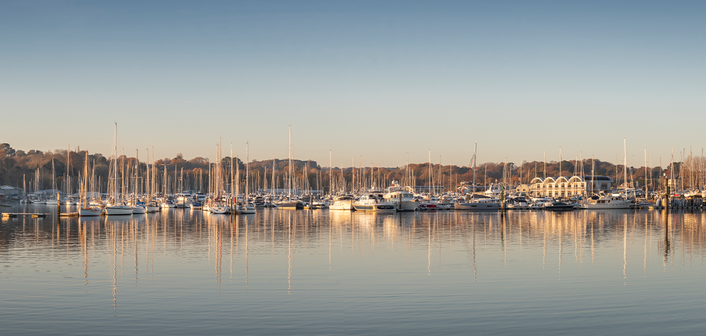 Swanwick Showcase Header